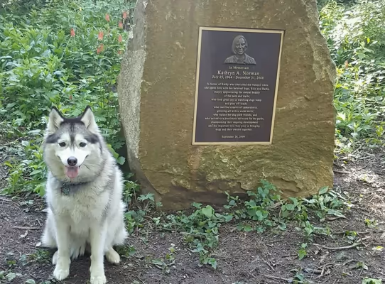 Canine Corners Dog Park - Elliot Park photo 1